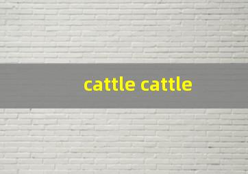 cattle cattle